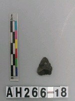 藏品(打製石鏃)的圖片